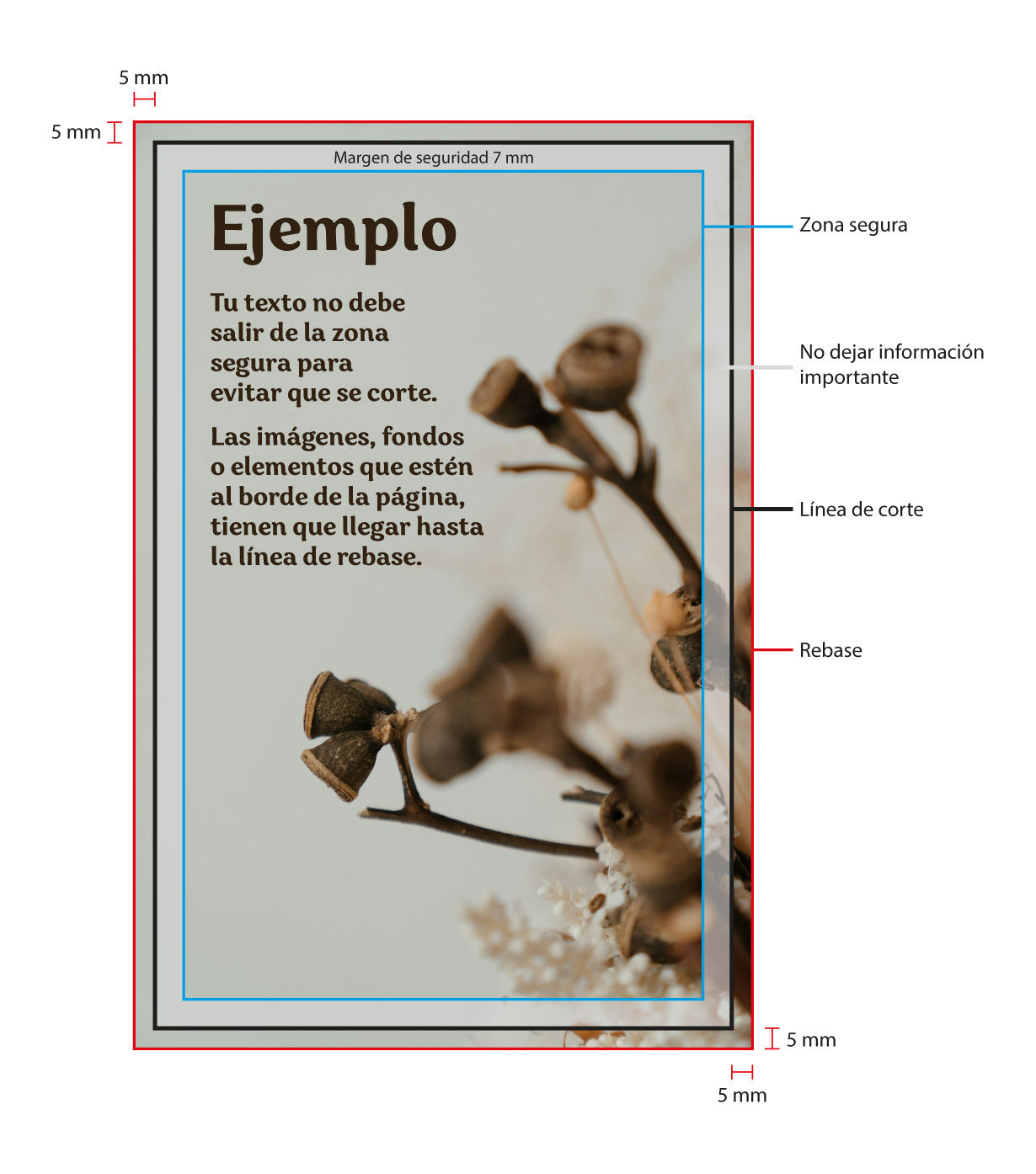 Ejemplo de margen de seguridad para libro GL.