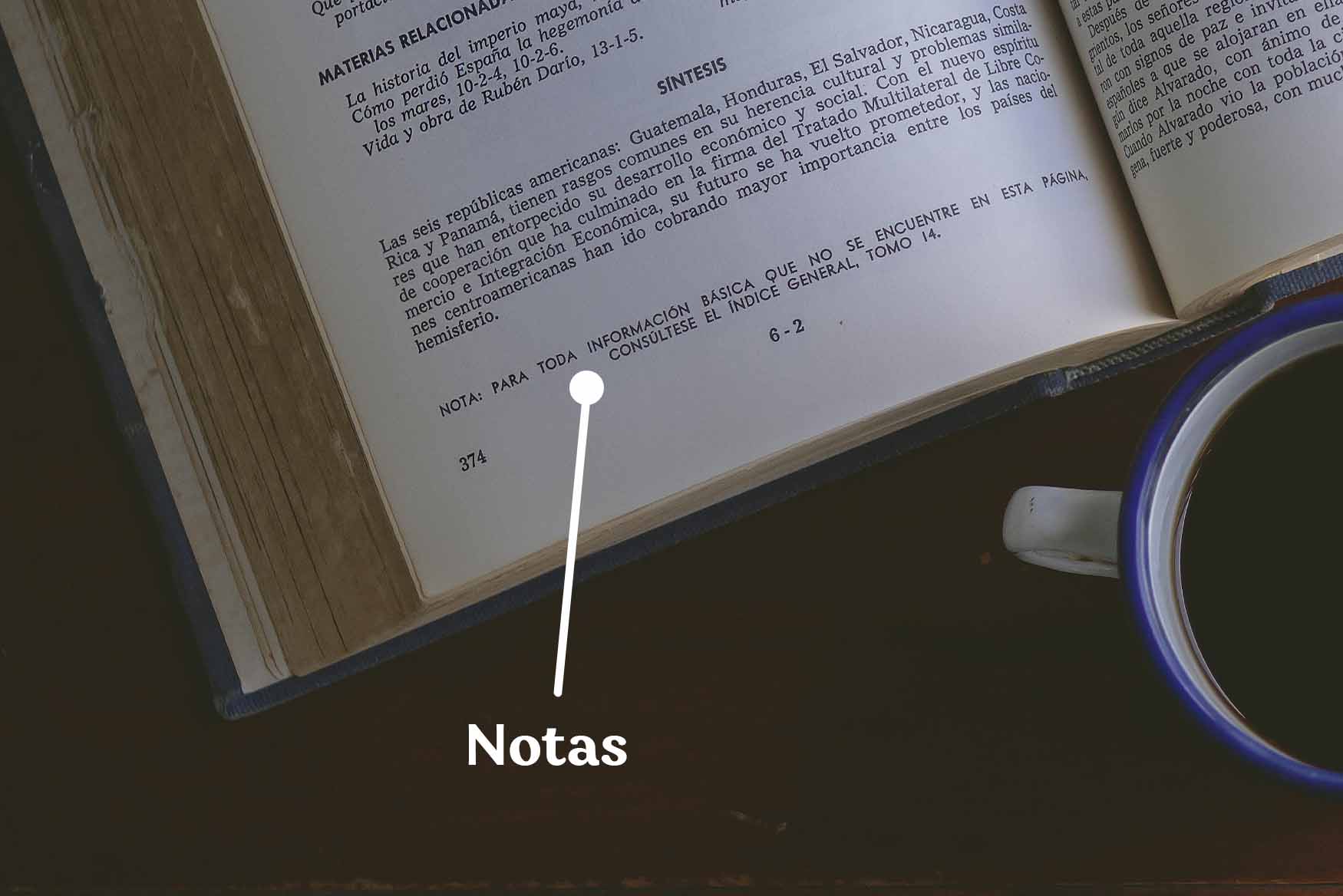 Notas finales o al pie en una página de libro.