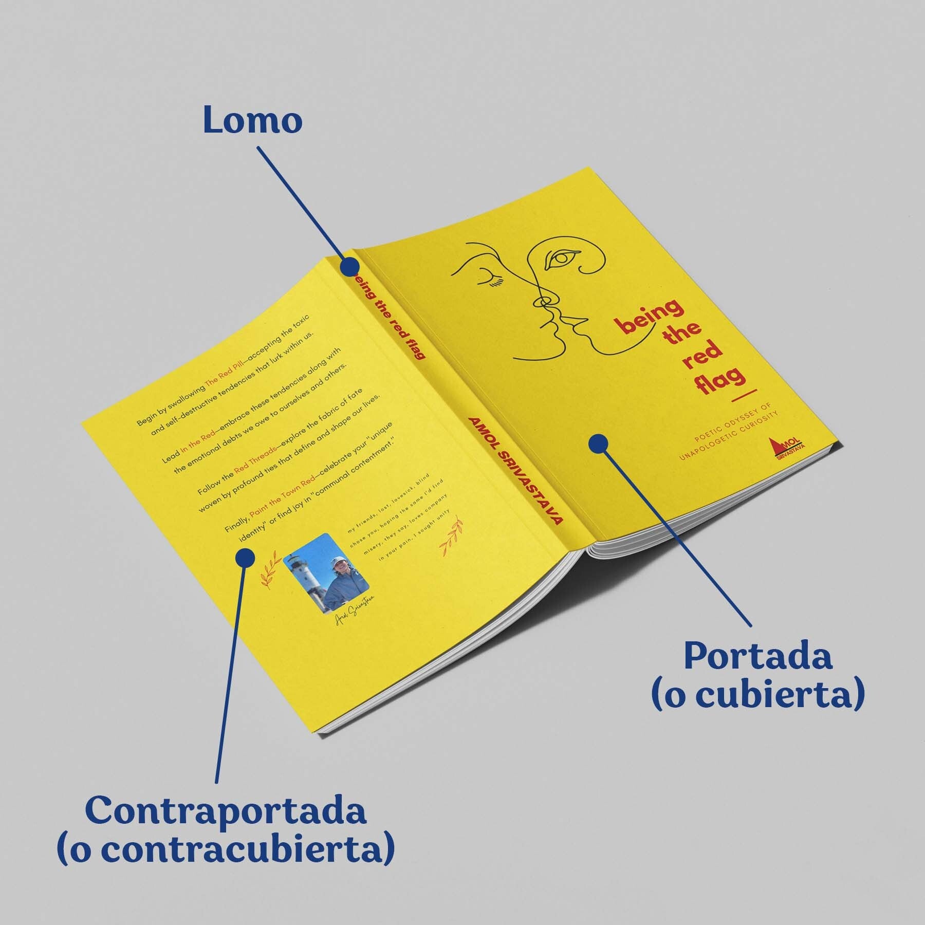 Partes externas de un libro: portada, contraportada y lomo (móvil).