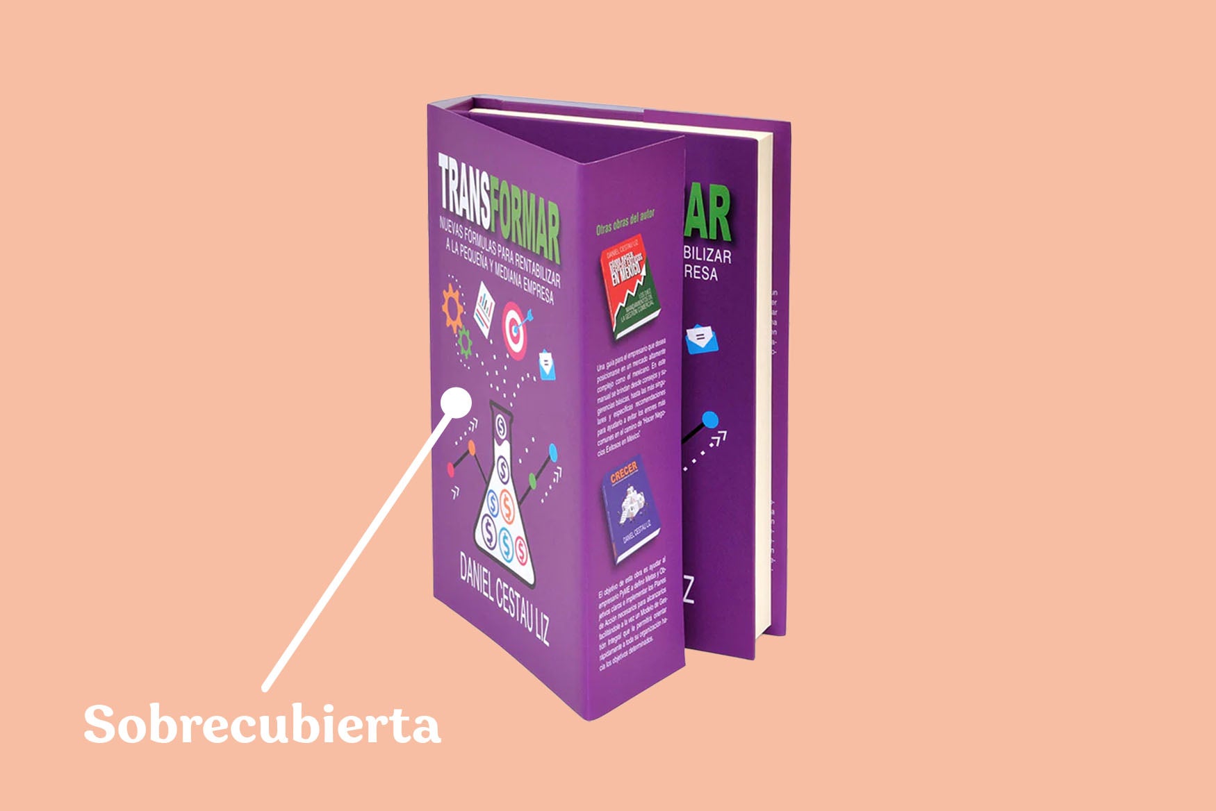 Sobrecubierta, camisa o guardapolvo de un libro morado.